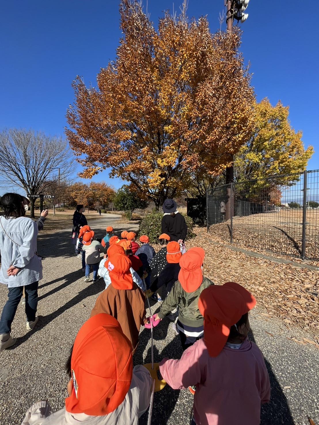 「大きなライオンがいる!」2歳児